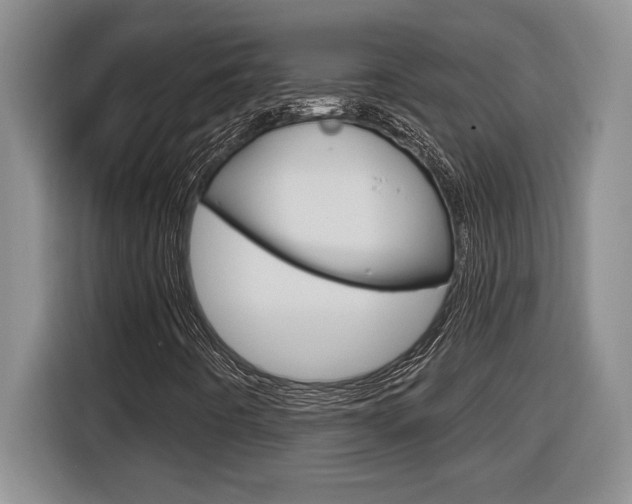 X0000116591442200912101321