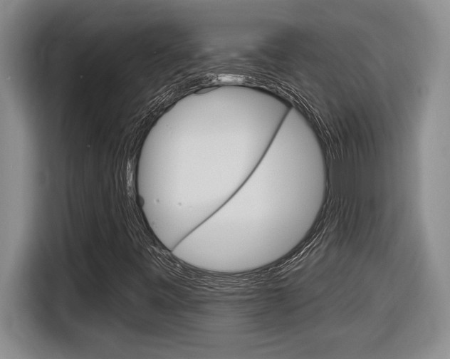 X0000116591443200912101321
