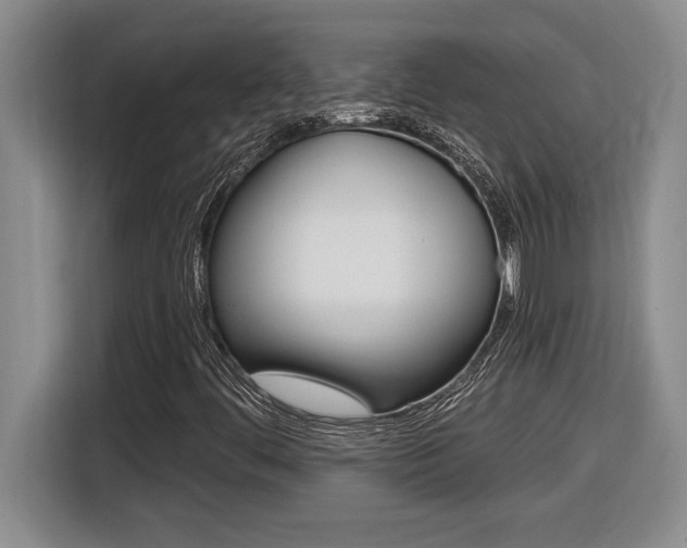 X0000116591444200912101321