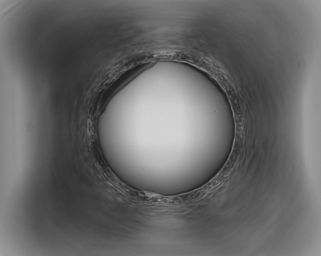 X0000116591445200912101321
