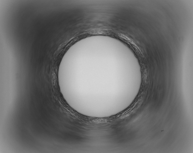 X0000116591446200912101321