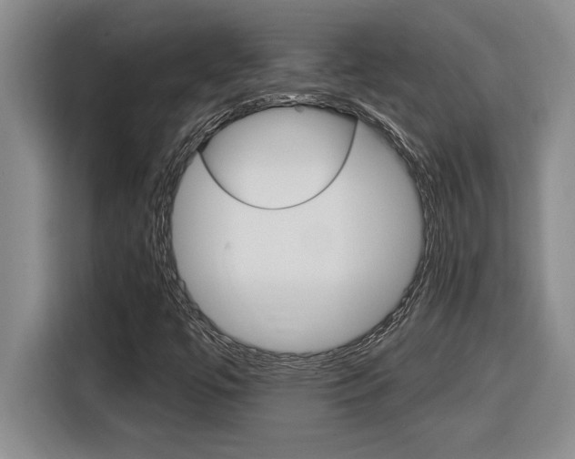 X0000116591447200912101321