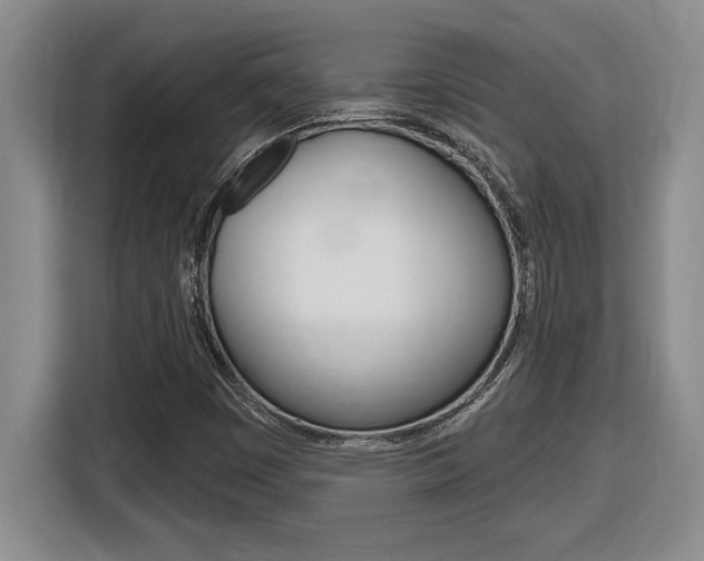 X0000116591449200912101321