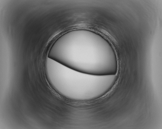 X0000116591450200912101321