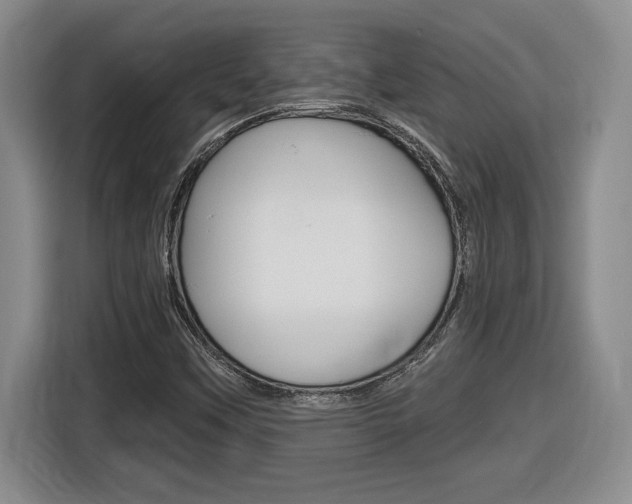 X0000116591451200912101321