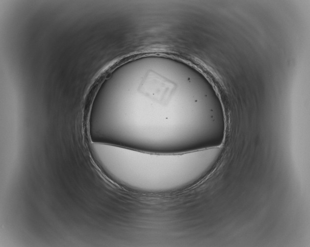 X0000116591452200912101321