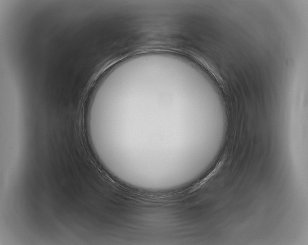 X0000116591453200912101321