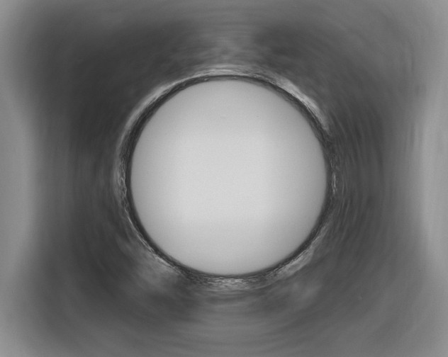 X0000116591454200912101321