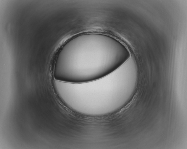 X0000116591455200912101321