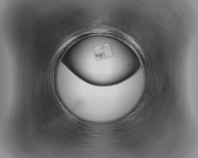 X0000116591456200912101321