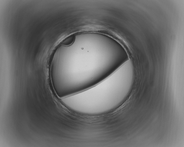 X0000116591459200912101321