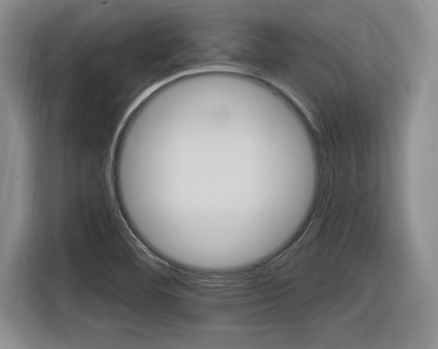 X0000116591460200912101321