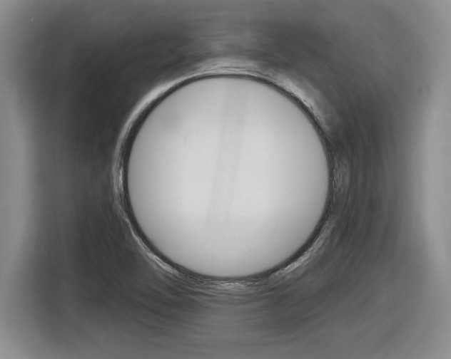 X0000116591462200912101321