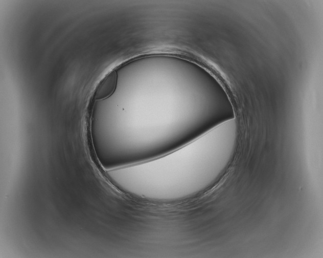 X0000116591463200912101321