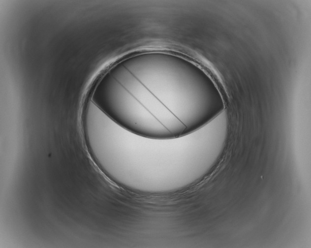 X0000116591464200912101321