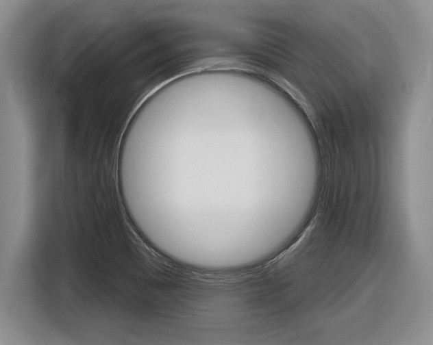X0000116591465200912101321