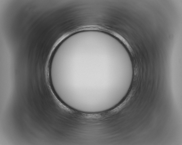 X0000116591466200912101321