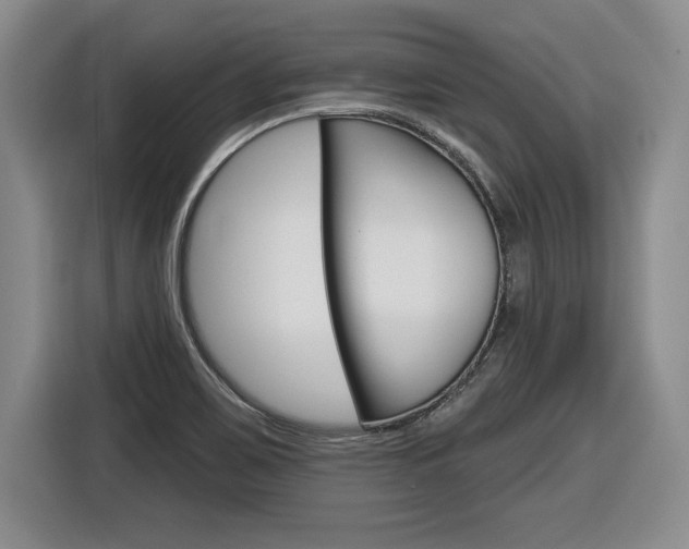 X0000116591467200912101321