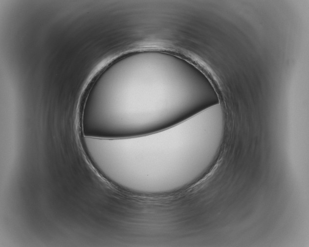 X0000116591469200912101321