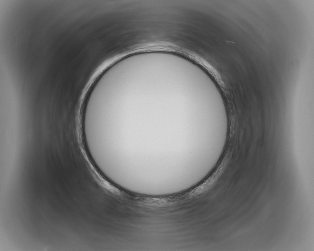 X0000116591470200912101321