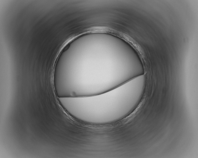 X0000116591473200912101321