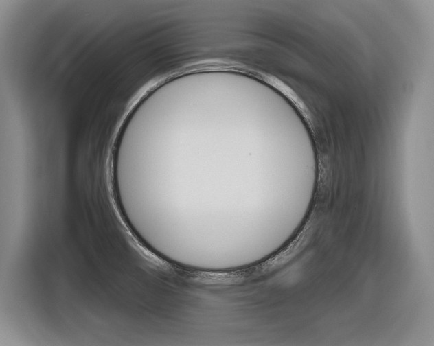 X0000116591474200912101321