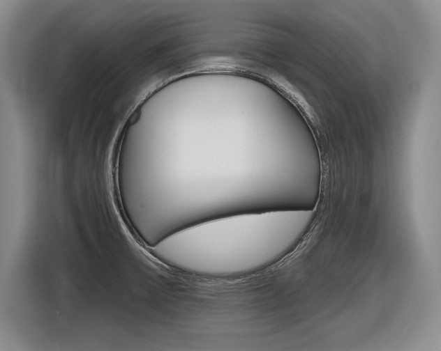 X0000116591475200912101321