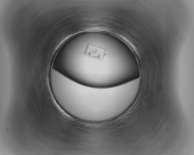 X0000116591476200912101321