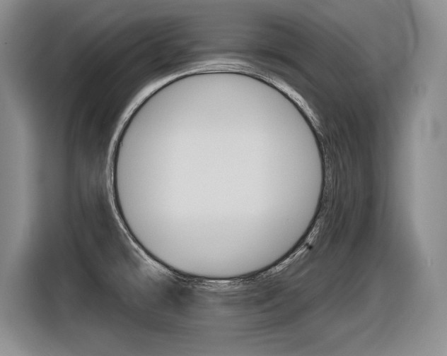 X0000116591478200912101321