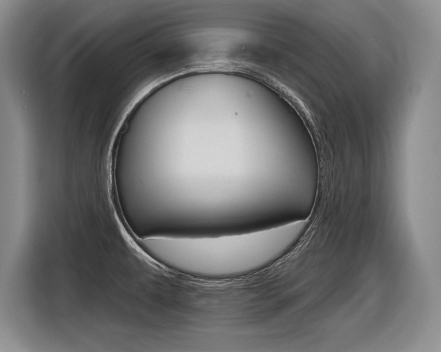 X0000116591479200912101321