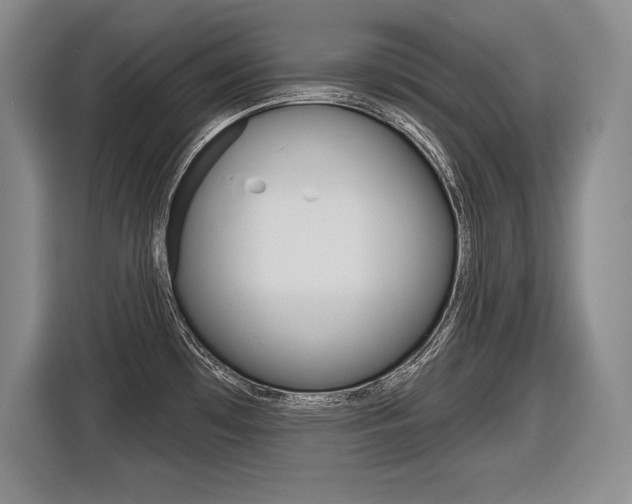 X0000116591481200912101321