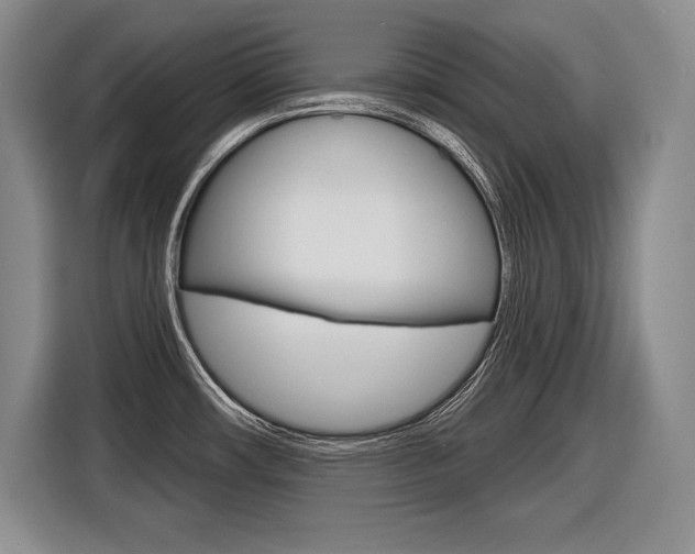 X0000116591482200912101321