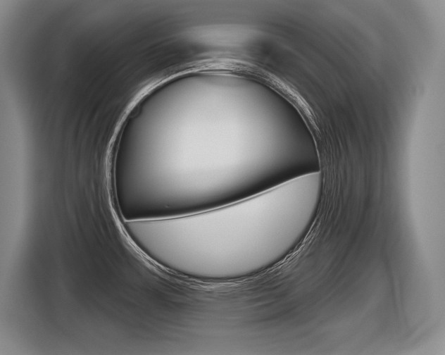 X0000116591483200912101321
