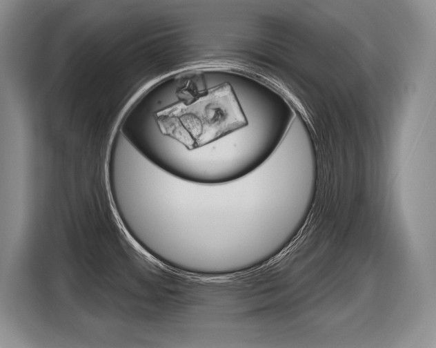 X0000116591484200912101321