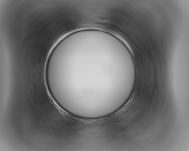 X0000116591485200912101321