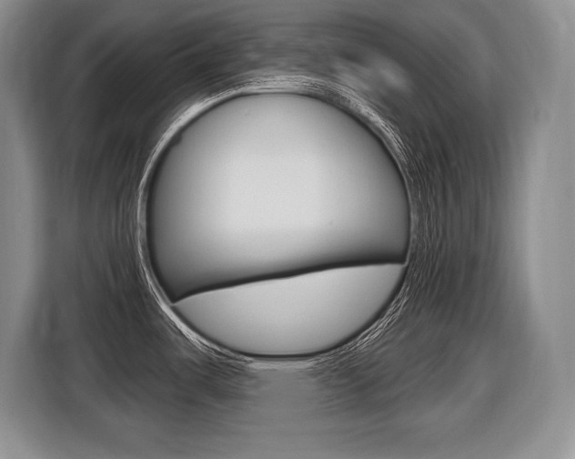 X0000116591487200912101321