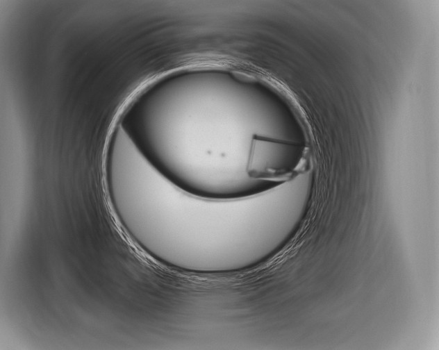 X0000116591488200912101321
