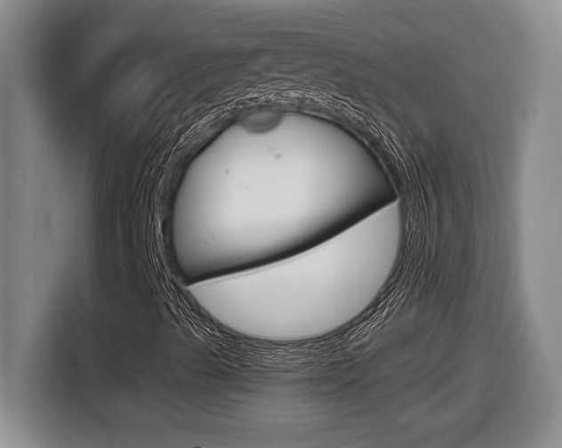 X0000116591489200912101320