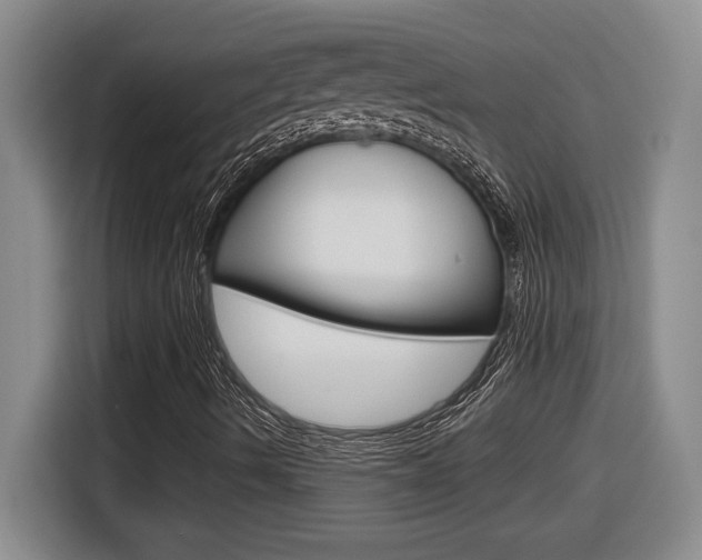 X0000116591490200912101320