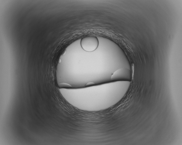 X0000116591491200912101320