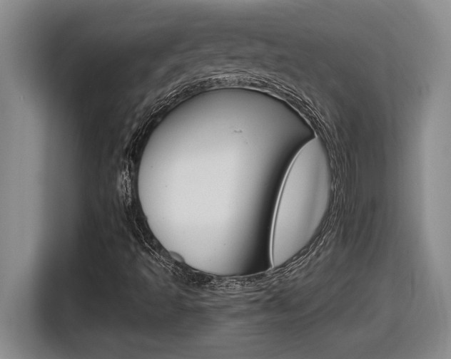 X0000116591493200912101320