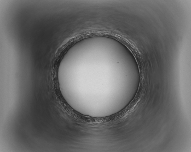 X0000116591494200912101320