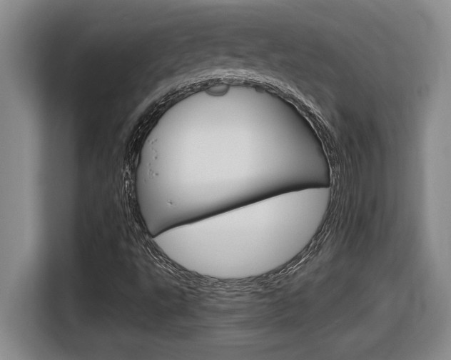 X0000116591495200912101320