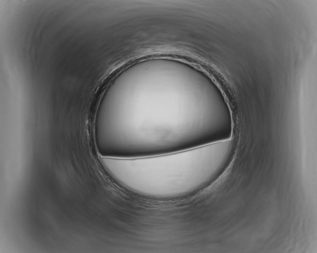 X0000116591497200912101320
