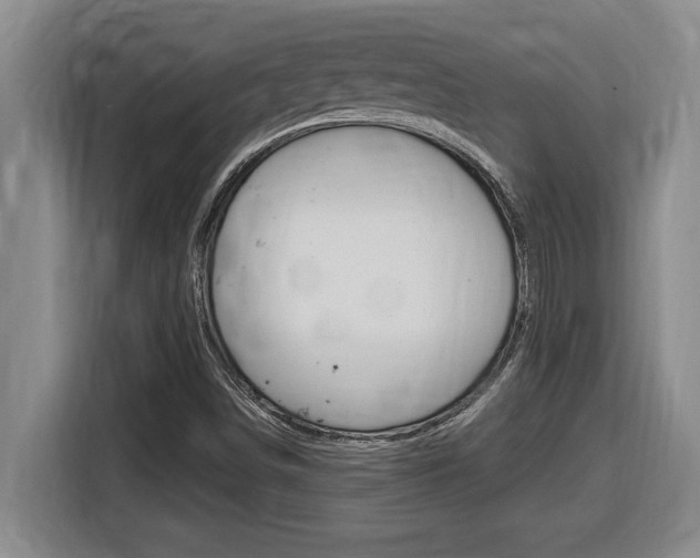 X0000116591498200912101320
