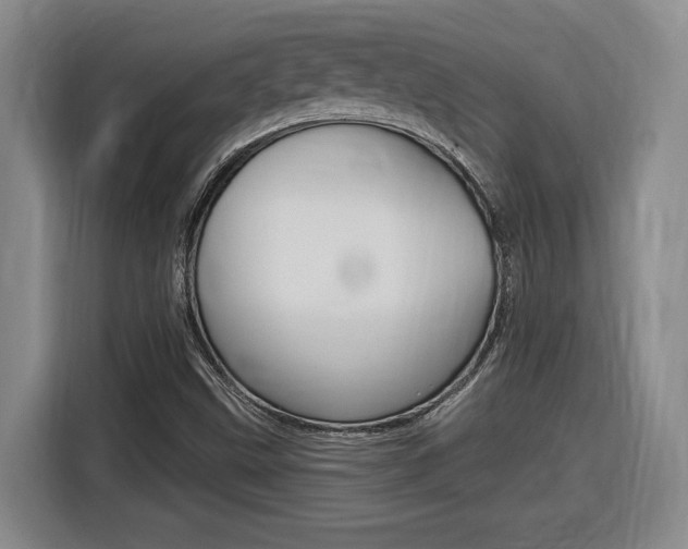 X0000116591499200912101320
