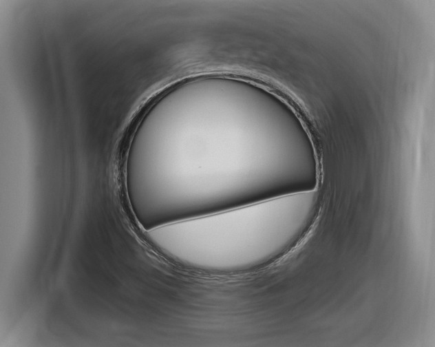 X0000116591501200912101320