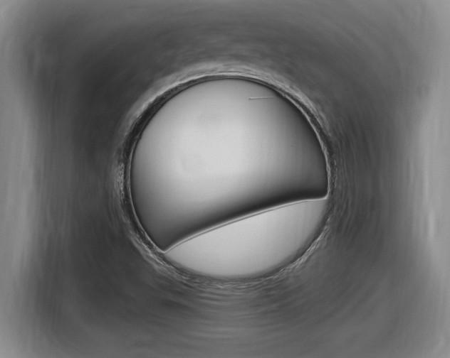X0000116591503200912101320