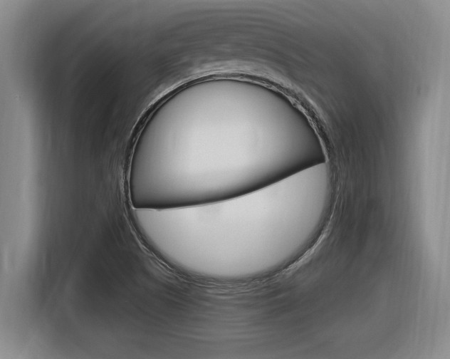 X0000116591505200912101320