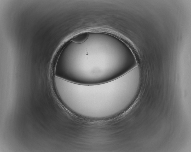X0000116591506200912101320
